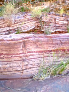Banded Iron Formation seen in Dales Gorge beside the path at the bottom of the gorge.