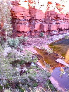 Banded iron gorge walls near Fortescue Falls in Dales Gorge.