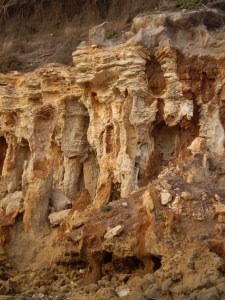 Point Roadknight columns erosion.