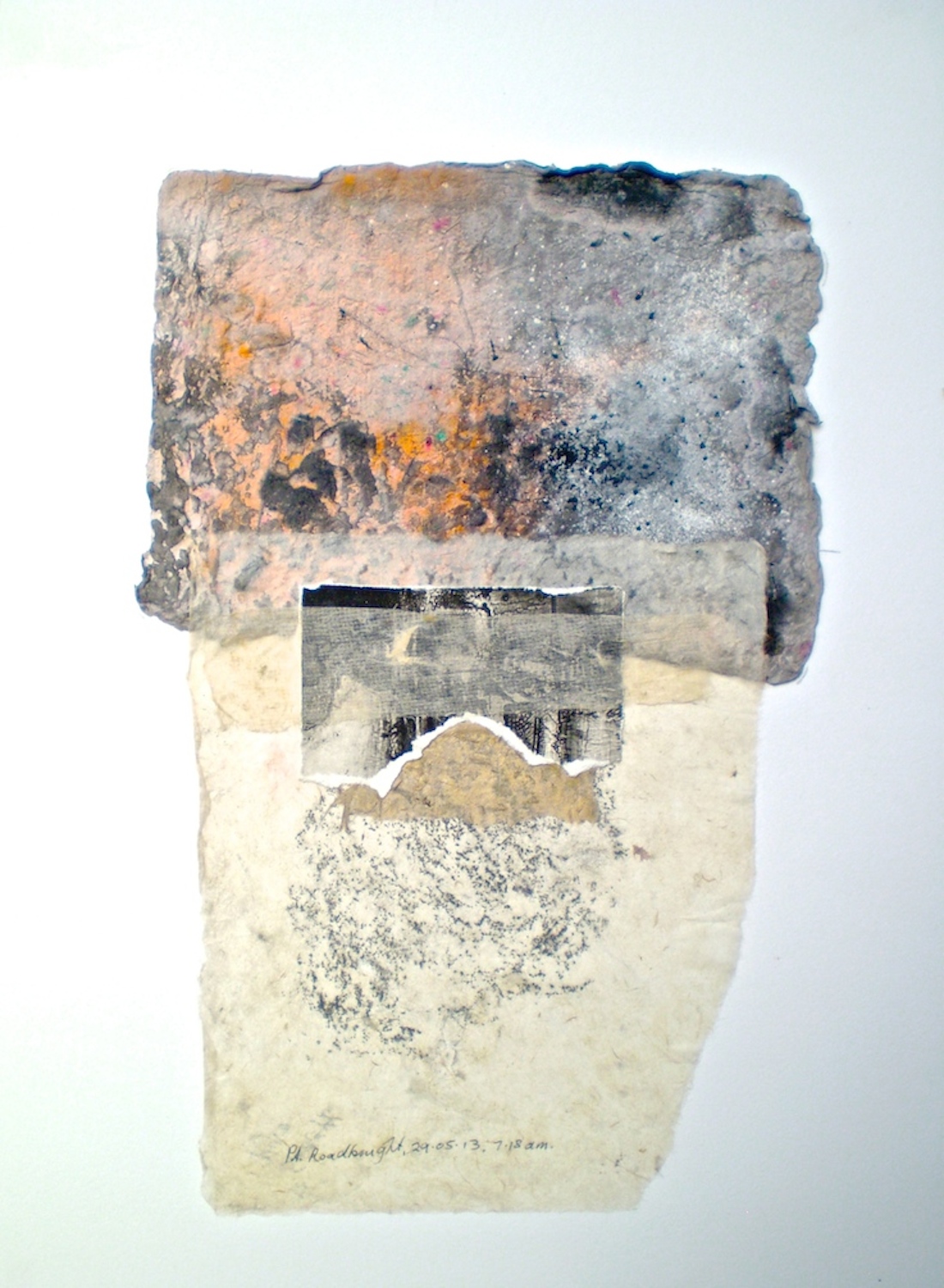 Petrified Forest, 2014