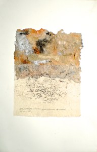 Petrified Forest, 2014